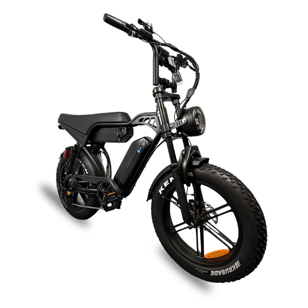 V29 Fatbike Dubbele Accu - Fatbike Company