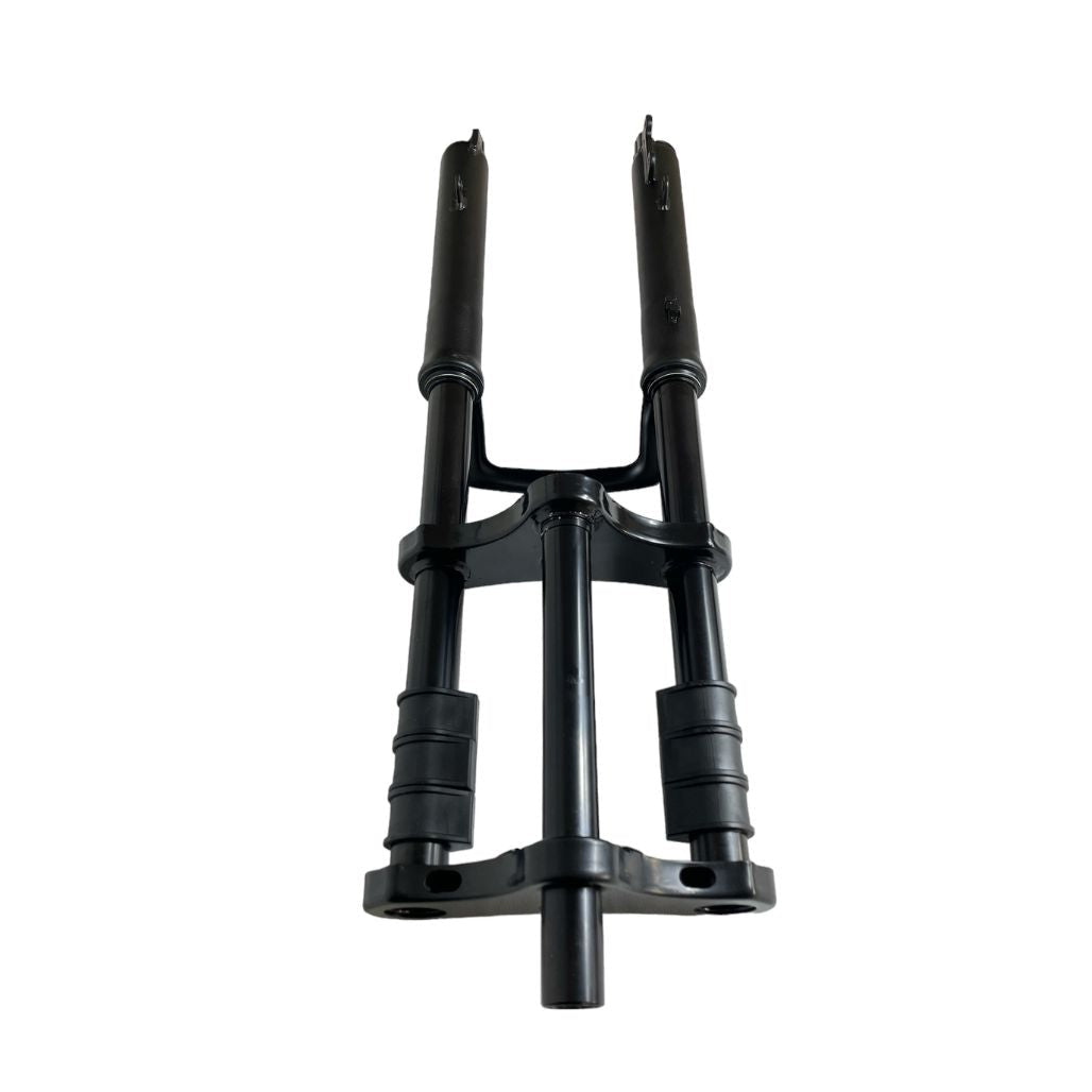 Voorvork - V20/S20 - QMWheel - Fatbike Company