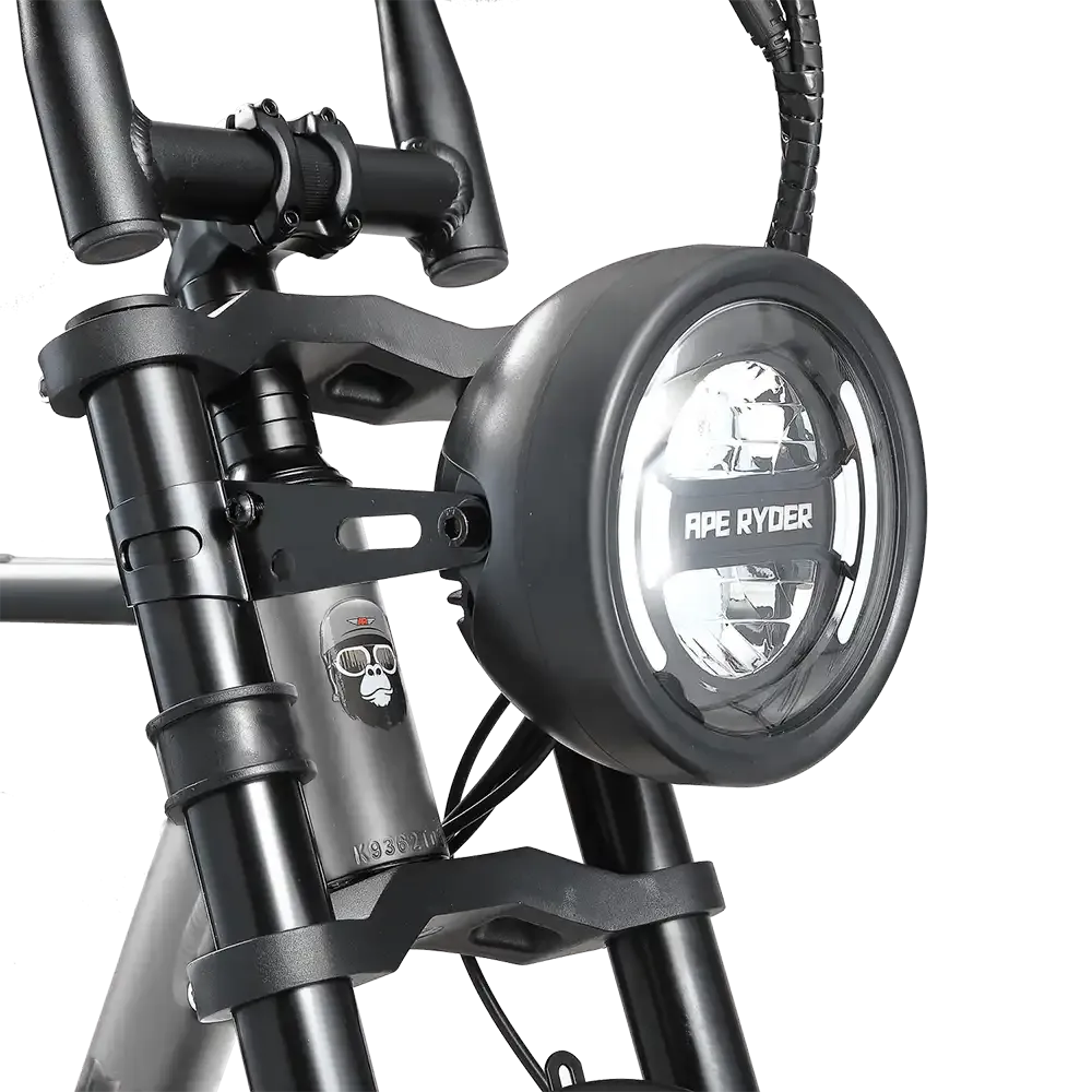 A10 Pro - Ape Ryder - Grijs (Anthracite Grey) - Fatbike Company