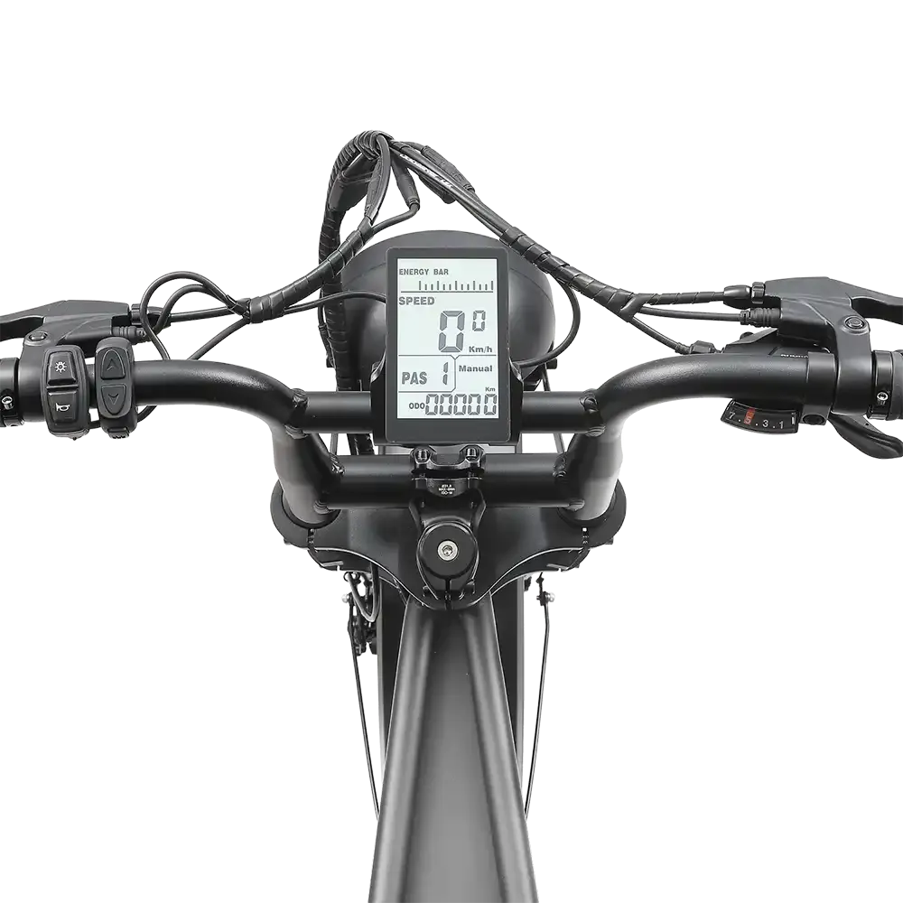 A10 Pro - Ape Ryder - Grijs (Anthracite Grey) - Fatbike Company