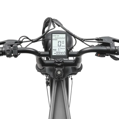 A10 Pro - Ape Ryder - Grijs (Anthracite Grey) - Fatbike Company