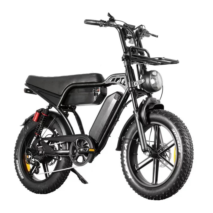 QmWheel V29 Pro Fatbike  Dubbele Accu - Fatbike Company