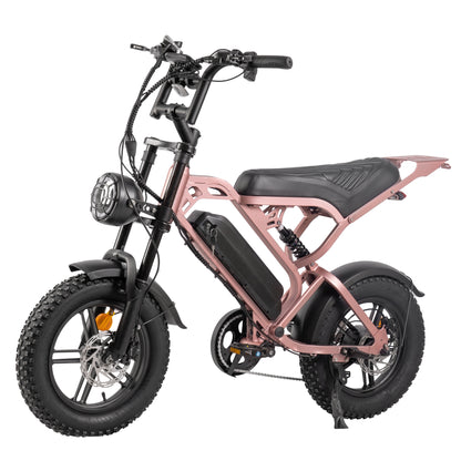 V20 Mini - Rose Gold - Fatbike Company