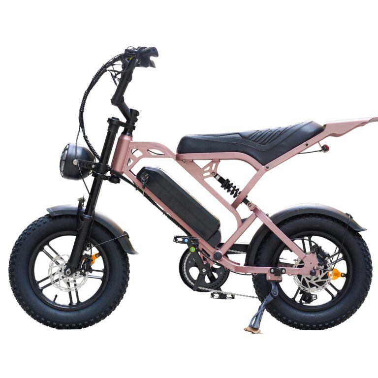 V20 Mini - Rose Gold - Fatbike Company